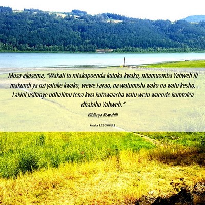 Picture 06 - Kutoka 8:29 SWHULB - Musa akasema, “Wakati tu nitakapoenda kutoka - Bible Verse Picture