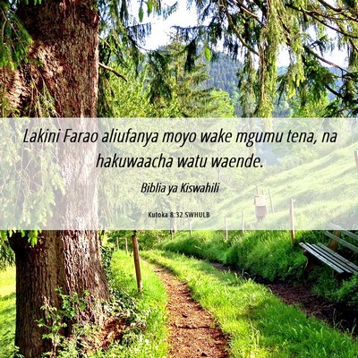 Picture 06 - Kutoka 8:32 SWHULB - Lakini Farao aliufanya moyo wake mgumu tena, na - Bible Verse Picture