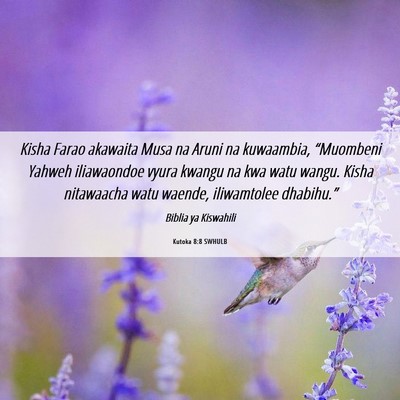 Picture 06 - Kutoka 8:8 SWHULB - Kisha Farao akawaita Musa na Aruni na kuwaambia, - Bible Verse Picture