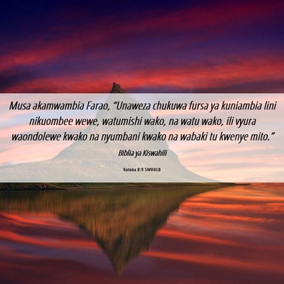 Picture 06 - Kutoka 8:9 SWHULB - Musa akamwambia Farao, “Unaweza chukuwa fursa - Bible Verse Picture