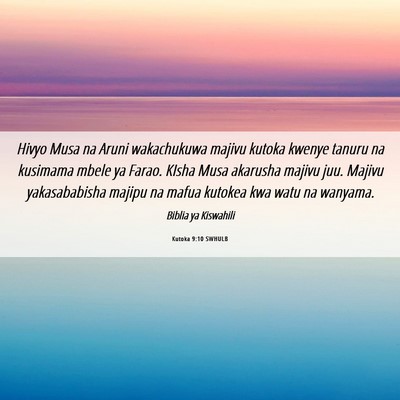Picture 06 - Kutoka 9:10 SWHULB - Hivyo Musa na Aruni wakachukuwa majivu kutoka - Bible Verse Picture