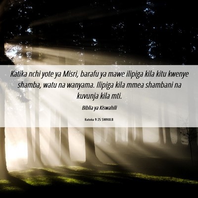 Picture 06 - Kutoka 9:25 SWHULB - Katika nchi yote ya Misri, barafu ya mawe ilipiga - Bible Verse Picture