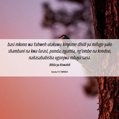 Picture 06 - Kutoka 9:3 SWHULB - basi mkono wa Yahweh utakuwa kinyume dhidi ya - Bible Verse Picture