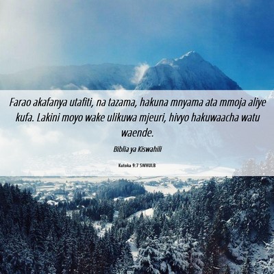 Picture 06 - Kutoka 9:7 SWHULB - Farao akafanya utafiti, na tazama, hakuna mnyama - Bible Verse Picture