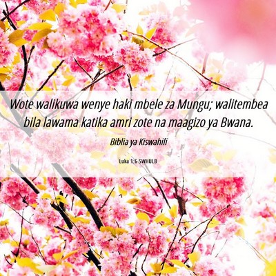 Picture 06 - Luka 1:6 SWHULB - Wote walikuwa wenye haki mbele za Mungu; - Bible Verse Picture