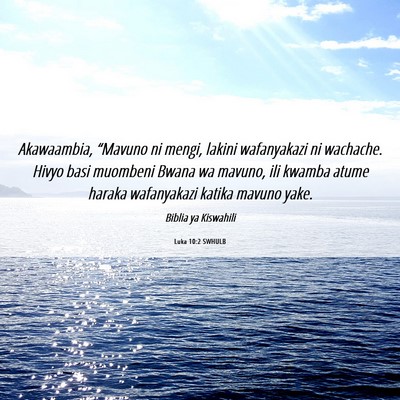 Picture 06 - Luka 10:2 SWHULB - Akawaambia, “Mavuno ni mengi, lakini - Bible Verse Picture