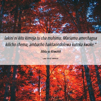 Picture 06 - Luka 10:42 SWHULB - lakini ni kitu kimoja tu cha muhimu. Mariamu - Bible Verse Picture