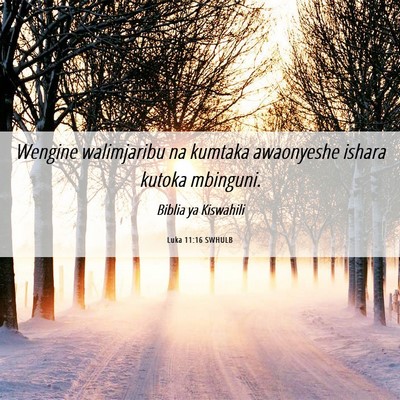 Picture 06 - Luka 11:16 SWHULB - Wengine walimjaribu na kumtaka awaonyeshe ishara - Bible Verse Picture