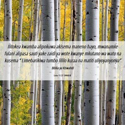 Picture 06 - Luka 11:27 SWHULB - Ilitokea kwamba alipokuwa akisema maneno hayo, - Bible Verse Picture