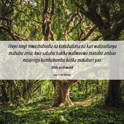 Picture 06 - Luka 11:48 SWHULB - Hivyo ninyi mwashuhudia na kukubaliana na kazi - Bible Verse Picture