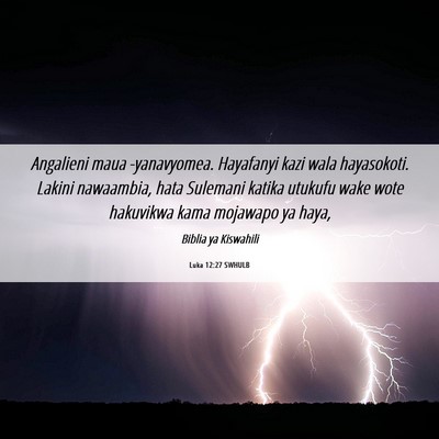Picture 06 - Luka 12:27 SWHULB - Angalieni maua -yanavyomea. Hayafanyi kazi wala - Bible Verse Picture