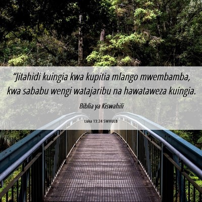 Picture 06 - Luka 13:24 SWHULB - “Jitahidi kuingia kwa kupitia mlango mwembamba, - Bible Verse Picture