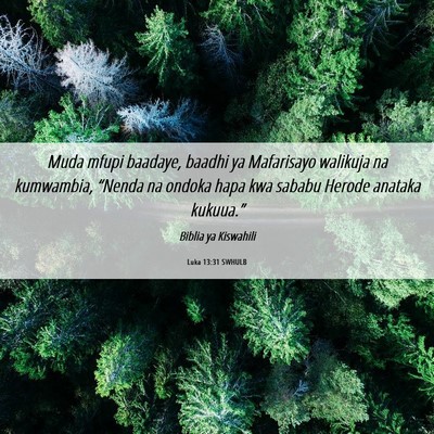 Picture 06 - Luka 13:31 SWHULB - Muda mfupi baadaye, baadhi ya Mafarisayo walikuja - Bible Verse Picture