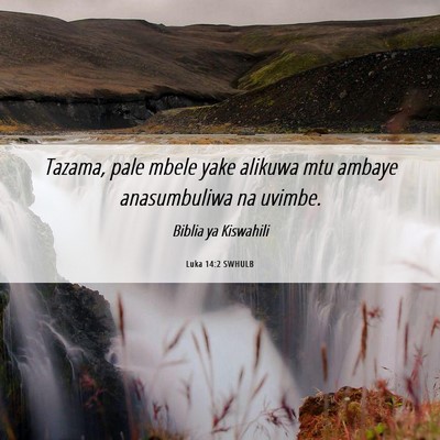 Picture 06 - Luka 14:2 SWHULB - Tazama, pale mbele yake alikuwa mtu ambaye - Bible Verse Picture