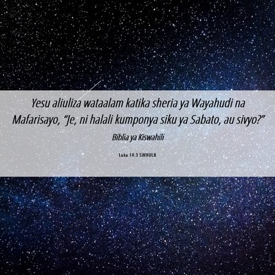 Picture 06 - Luka 14:3 SWHULB - Yesu aliuliza wataalam katika sheria ya Wayahudi - Bible Verse Picture