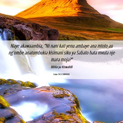 Picture 06 - Luka 14:5 SWHULB - Naye akawaambia, “Ni nani kati yenu ambaye ana - Bible Verse Picture