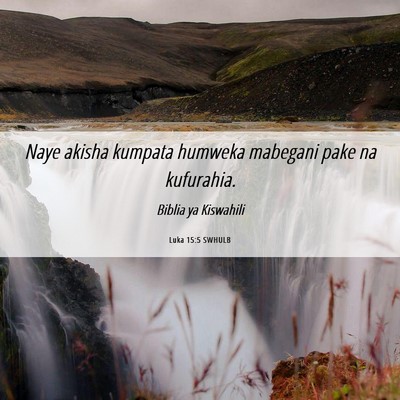 Picture 06 - Luka 15:5 SWHULB - Naye akisha kumpata humweka mabegani pake na - Bible Verse Picture