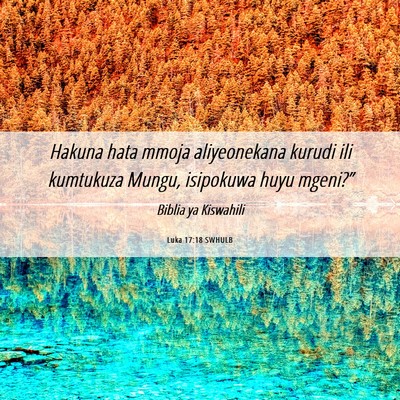 Picture 06 - Luka 17:18 SWHULB - Hakuna hata mmoja aliyeonekana kurudi ili - Bible Verse Picture
