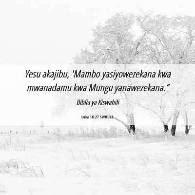 Picture 06 - Luka 18:27 SWHULB - Yesu akajibu, 'Mambo yasiyowezekana kwa mwanadamu - Bible Verse Picture