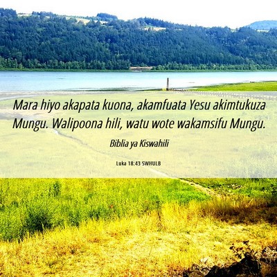 Picture 06 - Luka 18:43 SWHULB - Mara hiyo akapata kuona, akamfuata Yesu - Bible Verse Picture