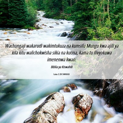 Picture 06 - Luka 2:20 SWHULB - Wachungaji wakarudi wakimtukuza na kumsifu Mungu - Bible Verse Picture