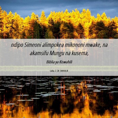 Picture 06 - Luka 2:28 SWHULB - ndipo Simeoni alimpokea mikononi mwake, na - Bible Verse Picture