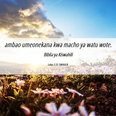 Picture 06 - Luka 2:31 SWHULB - ambao umeonekana kwa macho ya watu - Bible Verse Picture