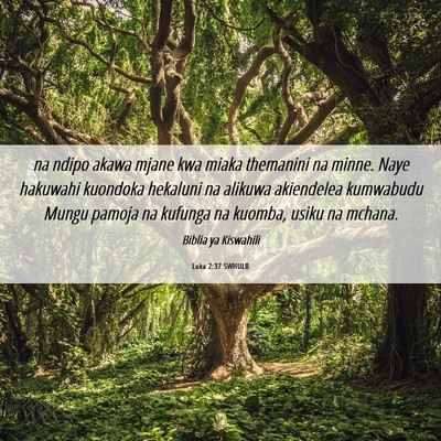 Picture 06 - Luka 2:37 SWHULB - na ndipo akawa mjane kwa miaka themanini na - Bible Verse Picture