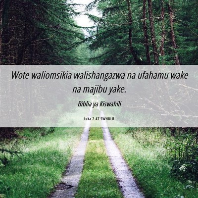 Picture 06 - Luka 2:47 SWHULB - Wote waliomsikia walishangazwa na ufahamu wake na - Bible Verse Picture