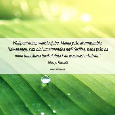 Picture 06 - Luka 2:48 SWHULB - Walipomwona, walistaajabu. Mama yake akamwambia, - Bible Verse Picture