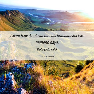 Picture 06 - Luka 2:50 SWHULB - Lakini hawakuelewa nini alichomaanisha kwa maneno - Bible Verse Picture