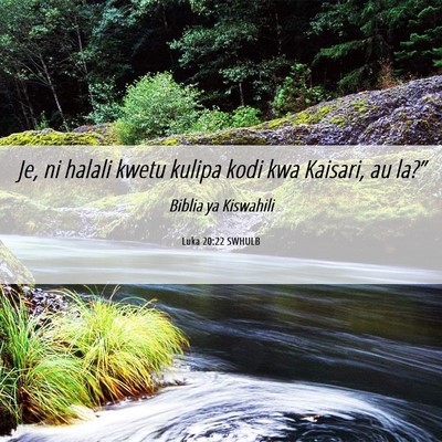 Picture 06 - Luka 20:22 SWHULB - Je, ni halali kwetu kulipa kodi kwa Kaisari, au - Bible Verse Picture