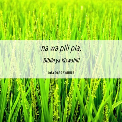 Picture 06 - Luka 20:30 SWHULB - na wa pili - Bible Verse Picture