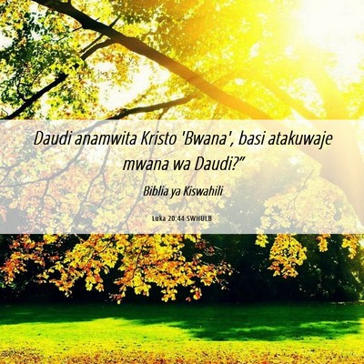 Picture 06 - Luka 20:44 SWHULB - Daudi anamwita Kristo 'Bwana', basi atakuwaje - Bible Verse Picture