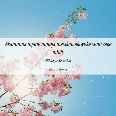 Picture 06 - Luka 21:2 SWHULB - Akamuona mjane mmoja masikini akiweka senti zake - Bible Verse Picture