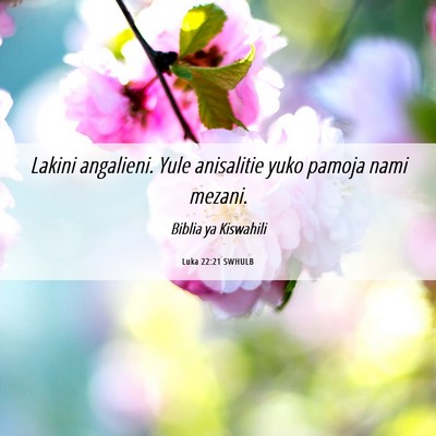 Picture 06 - Luka 22:21 SWHULB - Lakini angalieni. Yule anisalitie yuko pamoja - Bible Verse Picture