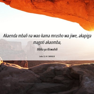 Picture 06 - Luka 22:41 SWHULB - Akaenda mbali na wao kama mrusho wa jiwe, akapiga - Bible Verse Picture
