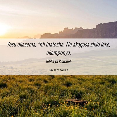 Picture 06 - Luka 22:51 SWHULB - Yesu akasema, “hii inatosha. Na akagusa sikio - Bible Verse Picture