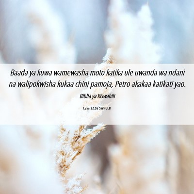 Picture 06 - Luka 22:55 SWHULB - Baada ya kuwa wamewasha moto katika ule uwanda wa - Bible Verse Picture