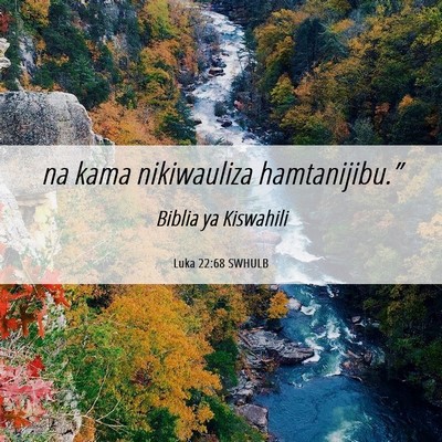 Picture 06 - Luka 22:68 SWHULB - na kama nikiwauliza - Bible Verse Picture
