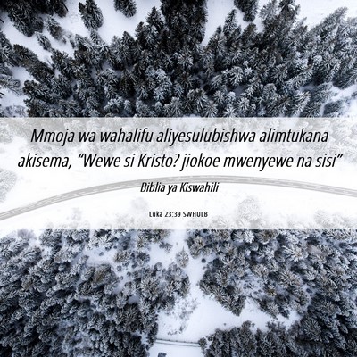 Picture 06 - Luka 23:39 SWHULB - Mmoja wa wahalifu aliyesulubishwa alimtukana - Bible Verse Picture