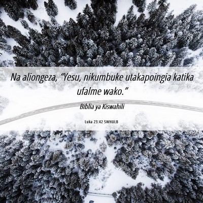 Picture 06 - Luka 23:42 SWHULB - Na aliongeza, “Yesu, nikumbuke utakapoingia - Bible Verse Picture