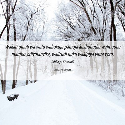 Picture 06 - Luka 23:48 SWHULB - Wakati umati wa watu waliokuja pamoja kushuhudia - Bible Verse Picture