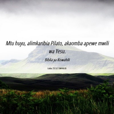 Picture 06 - Luka 23:52 SWHULB - Mtu huyu, alimkaribia Pilato, akaomba apewe mwili - Bible Verse Picture