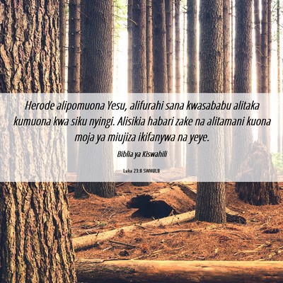 Picture 06 - Luka 23:8 SWHULB - Herode alipomuona Yesu, alifurahi sana kwasababu - Bible Verse Picture