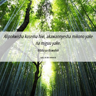 Picture 06 - Luka 24:40 SWHULB - Alipokwisha kusema hivi, akawaonyesha mikono yake - Bible Verse Picture