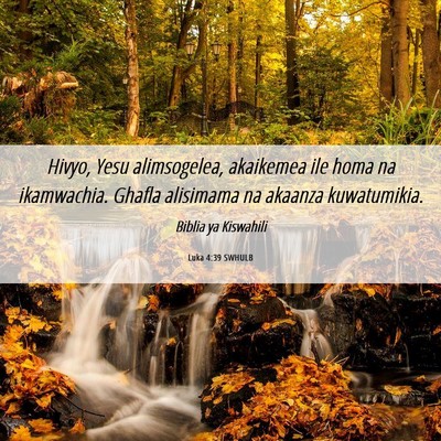 Picture 06 - Luka 4:39 SWHULB - Hivyo, Yesu alimsogelea, akaikemea ile homa na - Bible Verse Picture