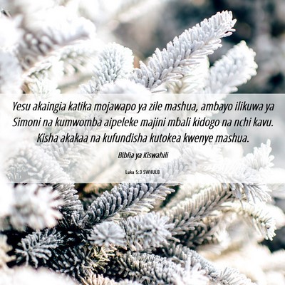Picture 06 - Luka 5:3 SWHULB - Yesu akaingia katika mojawapo ya zile mashua, - Bible Verse Picture