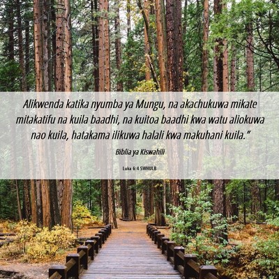 Picture 06 - Luka 6:4 SWHULB - Alikwenda katika nyumba ya Mungu, na akachukuwa - Bible Verse Picture