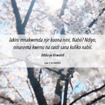 Picture 06 - Luka 7:26 SWHULB - lakini mnakwenda nje kuona nini, Nabii? Ndiyo, - Bible Verse Picture